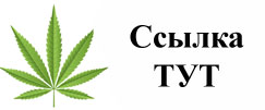 Купить наркотики в Волгодонске